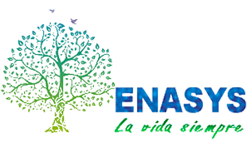 Enasys